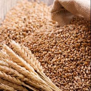 Grains